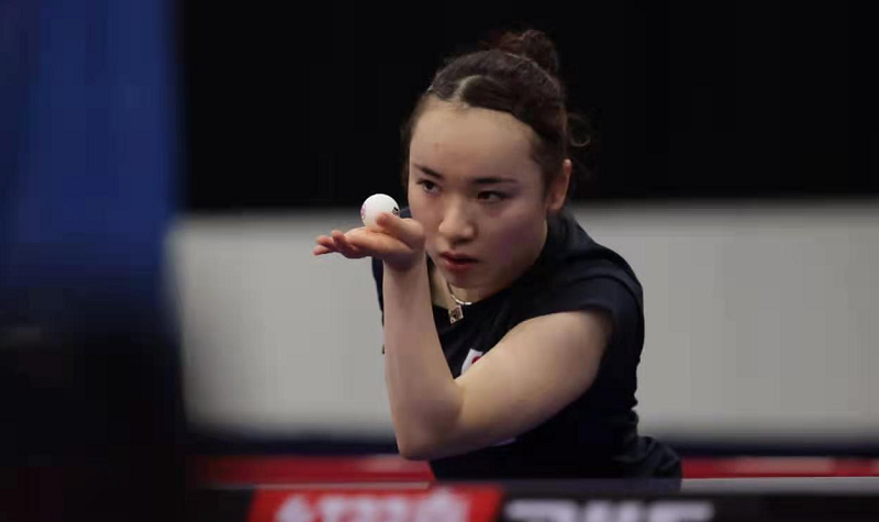 己的机会 己的机会